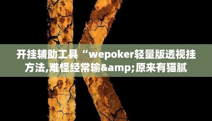 开挂辅助工具“wepoker轻量版透视挂方法,难怪经常输&原来有猫腻