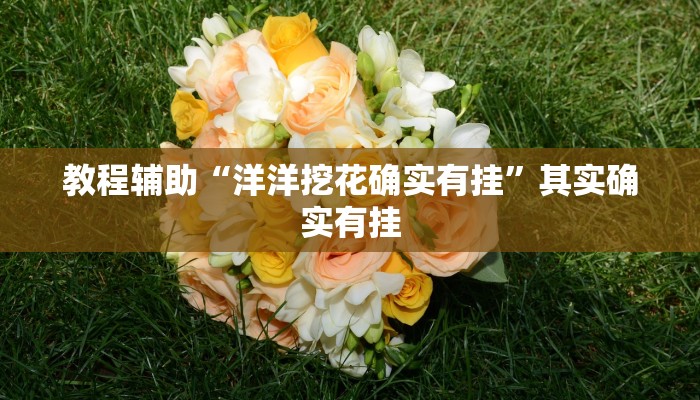 教程辅助“洋洋挖花确实有挂”其实确实有挂