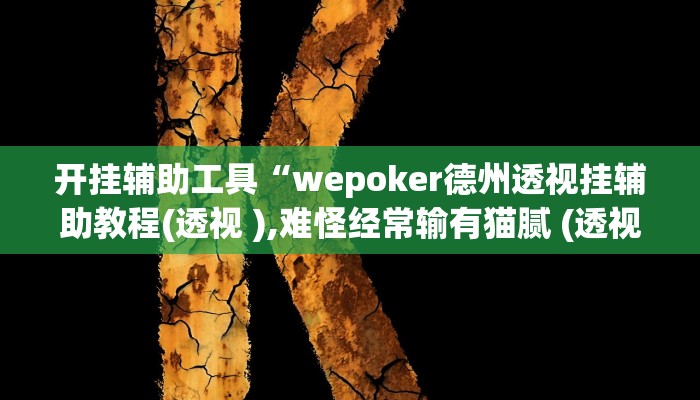 开挂辅助工具“wepoker俱乐部辅助透视软件,难怪经常输&原来有猫腻