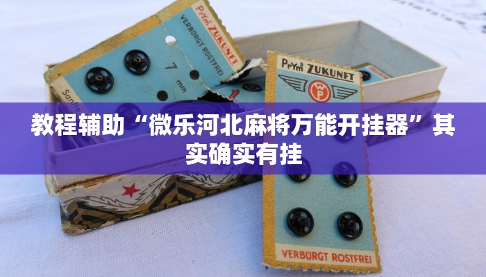 教程辅助“微乐河北麻将万能开挂器”其实确实有挂