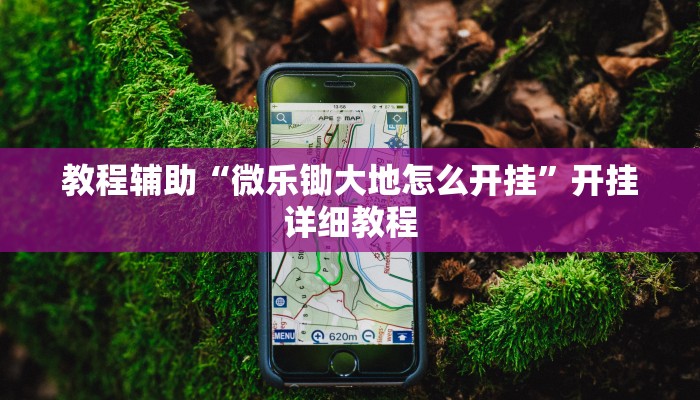 教程辅助“微乐锄大地怎么开挂”开挂详细教程