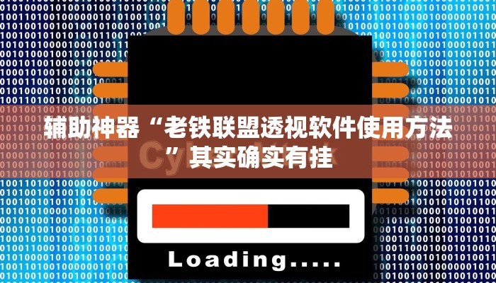 辅助神器“老铁联盟透视软件使用方法”其实确实有挂