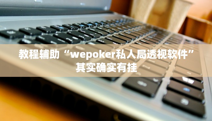 教程辅助“wepoker私人局透视软件”其实确实有挂