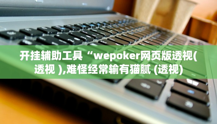 开挂辅助工具“wepoker网页版透视(透视 ),难怪经常输有猫腻 (透视)