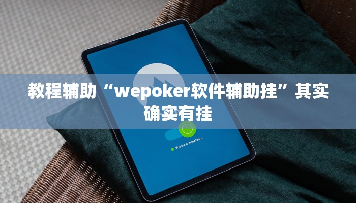 教程辅助“wepoker软件辅助挂”其实确实有挂