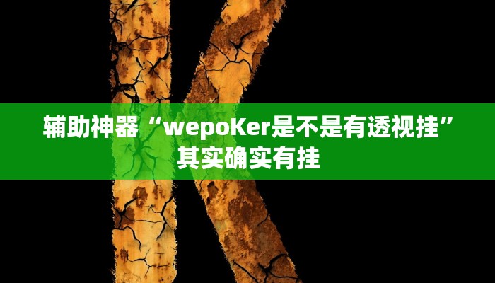开挂辅助工具“wepoker德州辅助软件作弊挂(透视 )!详细教程透视方法