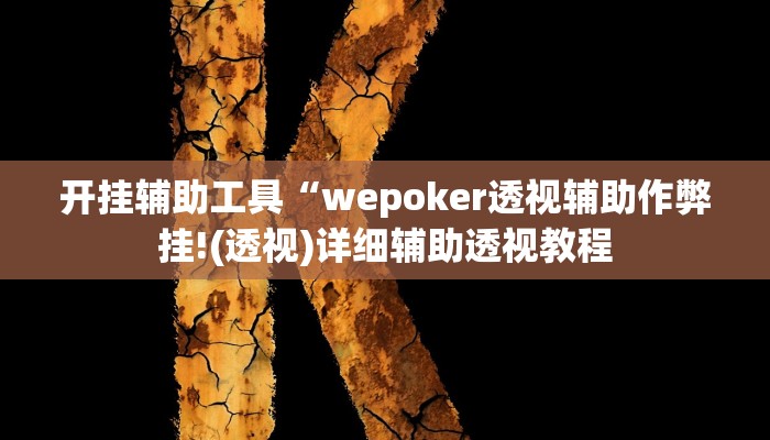 开挂辅助工具“wepoker透视辅助作弊挂!(透视)详细辅助透视教程