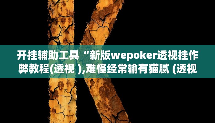 开挂辅助工具“新版wepoker透视挂作弊教程(透视 ),难怪经常输有猫腻 (透视)