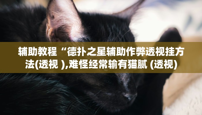 开挂辅助工具“德扑之星透视作弊软件脚本!(透视)详细辅助透视教程