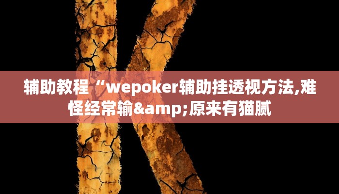 辅助教程“wepoker辅助挂透视方法,难怪经常输&原来有猫腻