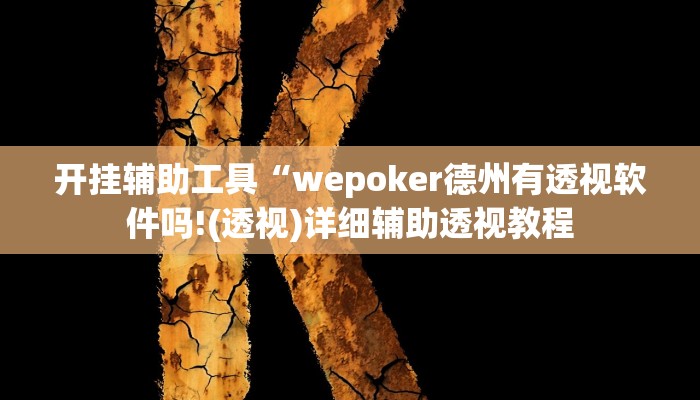 开挂辅助工具“wepoker德州有透视软件吗!(透视)详细辅助透视教程