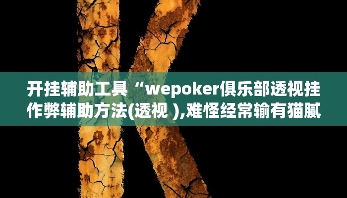 辅助教程“wepoker德州局透视挂软件(透视 )!详细教程透视方法