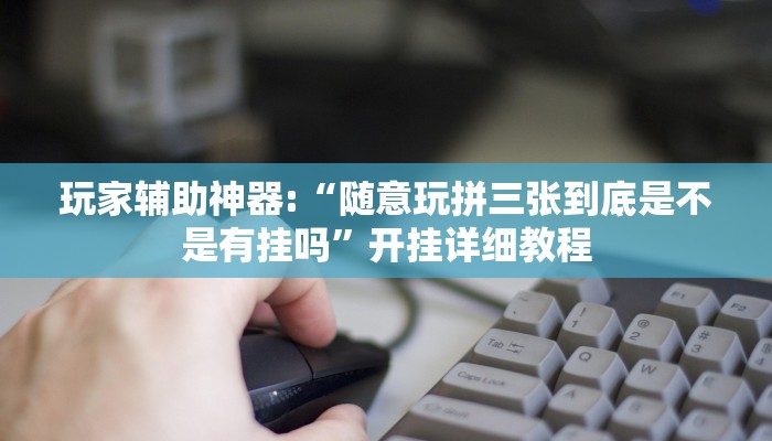 玩家辅助神器:“随意玩拼三张到底是不是有挂吗”开挂详细教程