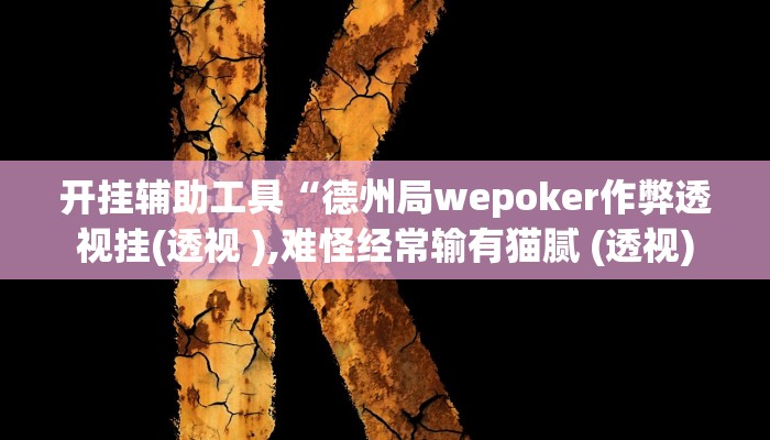 开挂辅助工具“德州局wepoker作弊透视挂(透视 ),难怪经常输有猫腻 (透视)
