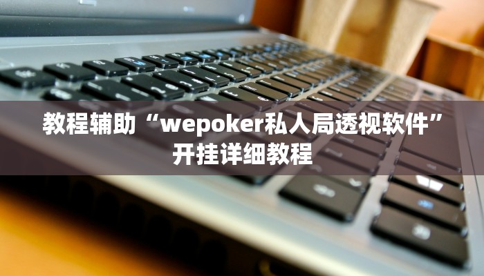 教程辅助“wepoker私人局透视软件”开挂详细教程