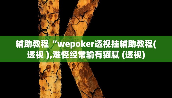 辅助教程“wepoker透视挂辅助教程(透视 ),难怪经常输有猫腻 (透视)