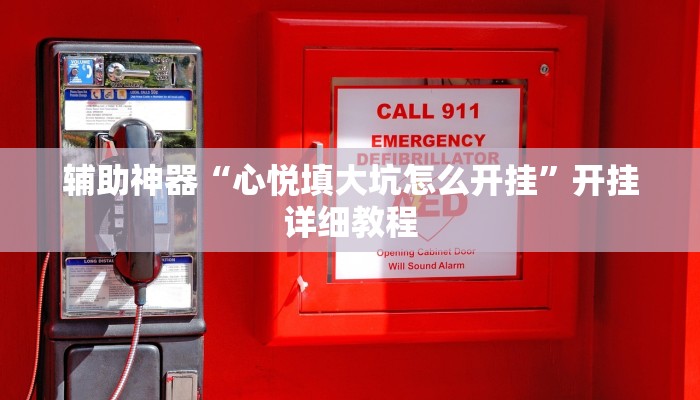 辅助神器“心悦填大坑怎么开挂”开挂详细教程