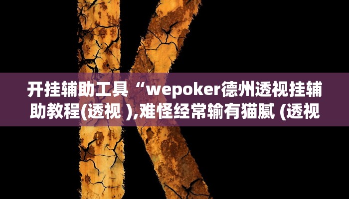 辅助教程“德州wpk作弊透视!(透视)详细辅助透视教程