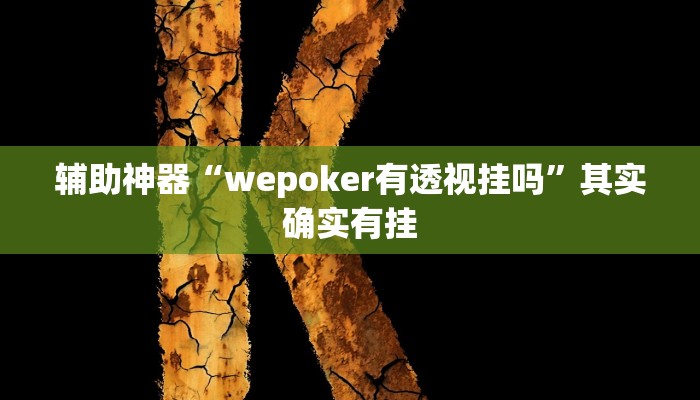 辅助神器“wepoker有透视挂吗”其实确实有挂
