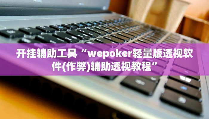 开挂辅助工具“wepoker轻量版透视软件(作弊)辅助透视教程”