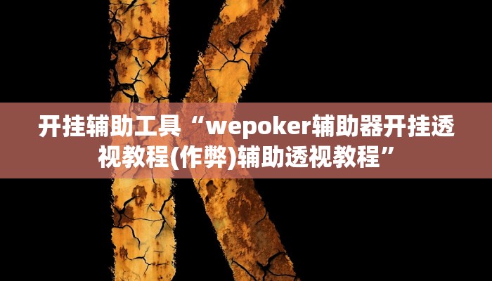 开挂辅助工具“wepoker辅助器开挂透视教程(作弊)辅助透视教程”