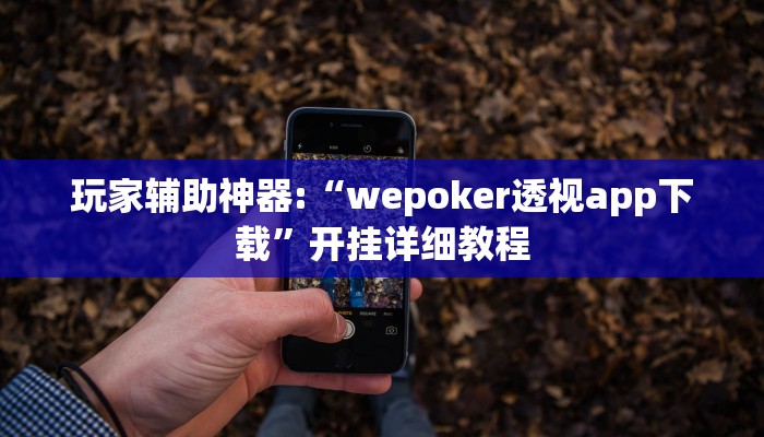玩家辅助神器:“wepoker透视app下载”开挂详细教程