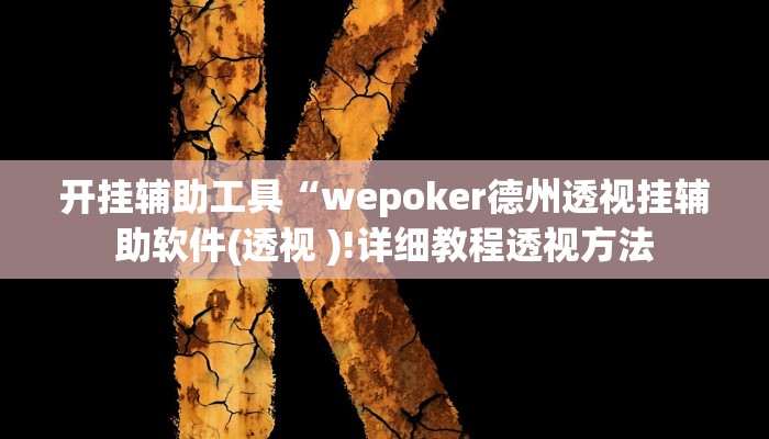 开挂辅助工具“wepoker德州透视挂辅助软件(透视 )!详细教程透视方法