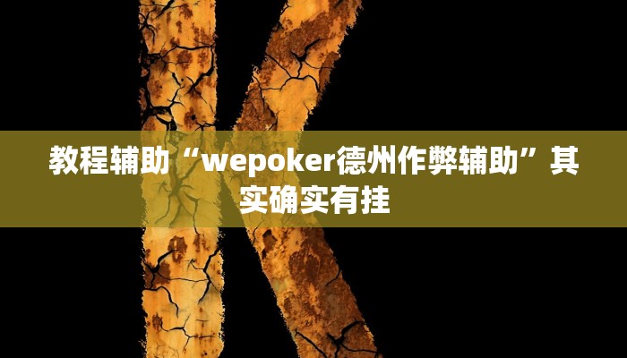 教程辅助“wepoker德州作弊辅助”其实确实有挂
