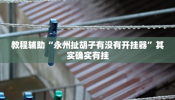 教程辅助“永州扯胡子有没有开挂器”其实确实有挂