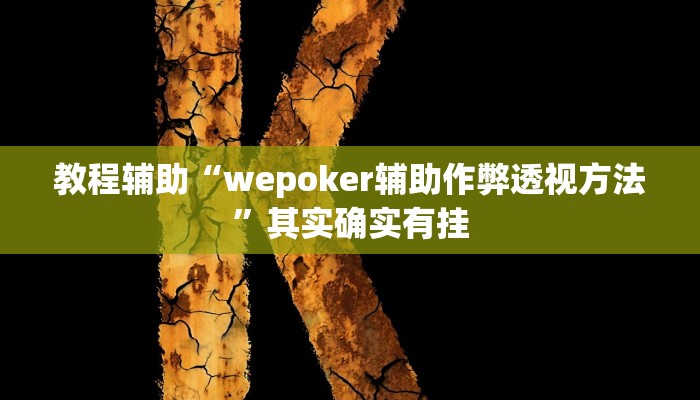 教程辅助“wepoker辅助作弊透视方法”其实确实有挂