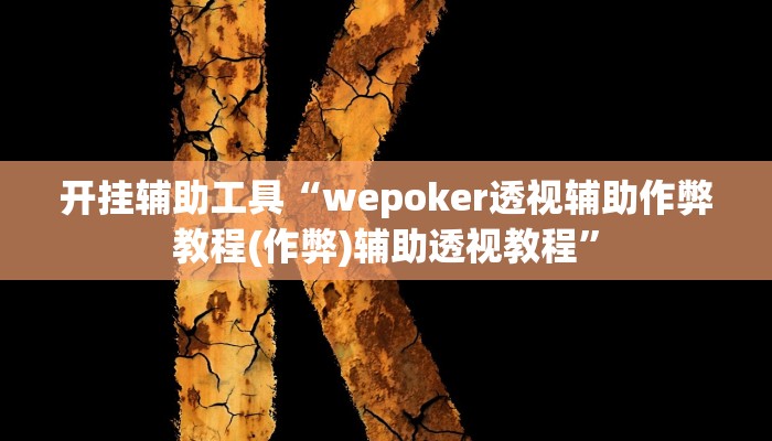 开挂辅助工具“wepoker透视辅助作弊教程(作弊)辅助透视教程”