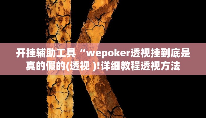 开挂辅助工具“wepoker透视挂到底是真的假的(透视 )!详细教程透视方法
