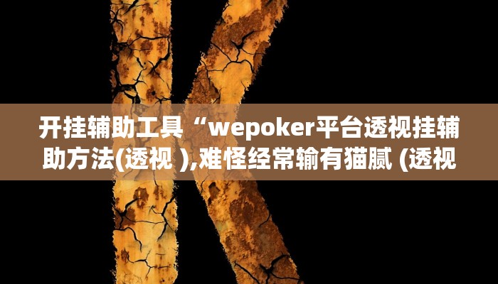 开挂辅助工具“wepoker平台透视挂辅助方法(透视 ),难怪经常输有猫腻 (透视)
