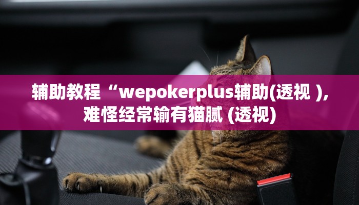 辅助教程“wepokerplus辅助(透视 ),难怪经常输有猫腻 (透视)