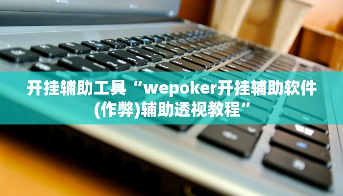开挂辅助工具“wepoker开挂辅助软件(作弊)辅助透视教程”