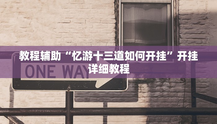 教程辅助“忆游十三道如何开挂”开挂详细教程