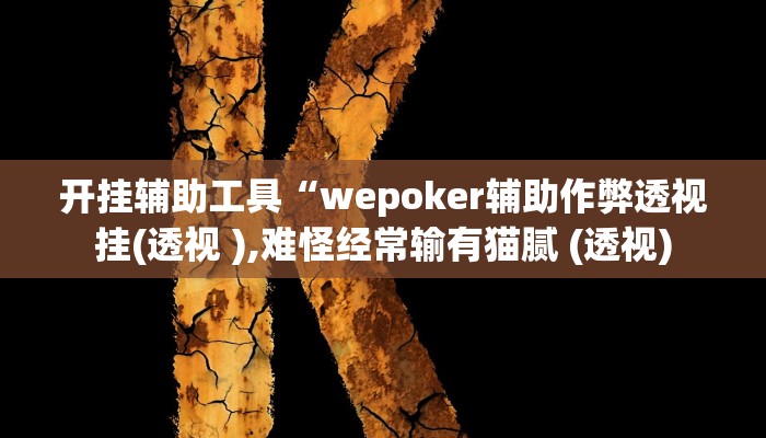 开挂辅助工具“wepoker辅助作弊透视挂(透视 ),难怪经常输有猫腻 (透视)
