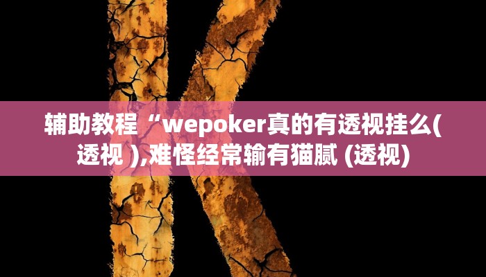 辅助教程“wepoker真的有透视挂么(透视 ),难怪经常输有猫腻 (透视)