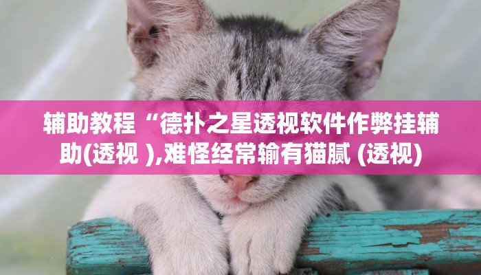 辅助教程“德扑之星透视软件作弊挂辅助(透视 ),难怪经常输有猫腻 (透视)