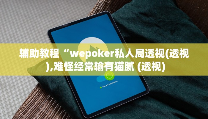 辅助教程“wepoker私人局透视(透视 ),难怪经常输有猫腻 (透视)