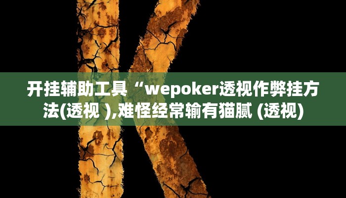 开挂辅助工具“wepoker透视作弊挂方法(透视 ),难怪经常输有猫腻 (透视)