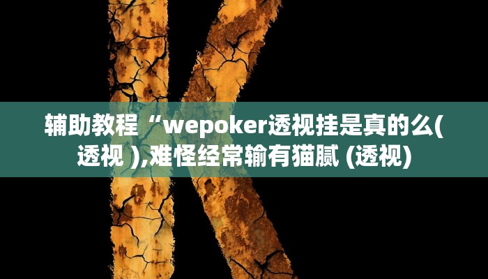 辅助教程“wepoker透视挂是真的么(透视 ),难怪经常输有猫腻 (透视)