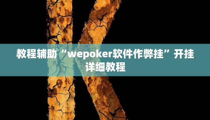 教程辅助“wepoker软件作弊挂”开挂详细教程