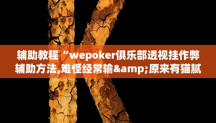 辅助教程“wepoker俱乐部透视挂作弊辅助方法,难怪经常输&原来有猫腻