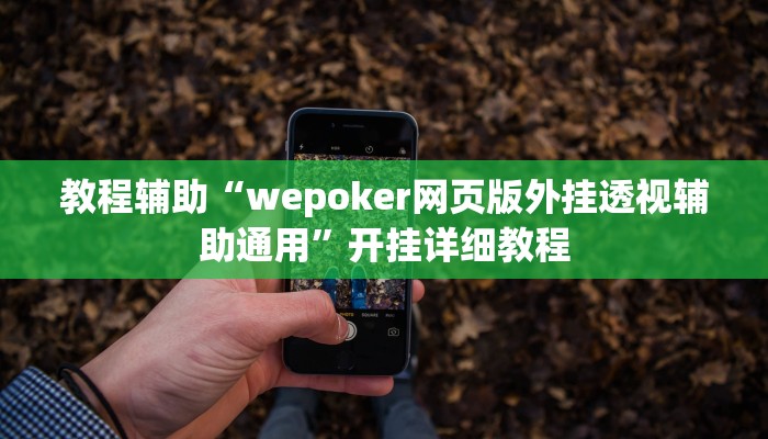 教程辅助“wepoker网页版外挂透视辅助通用”开挂详细教程