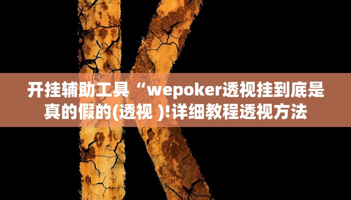 开挂辅助工具“wepoker透视挂到底是真的假的(透视 )!详细教程透视方法