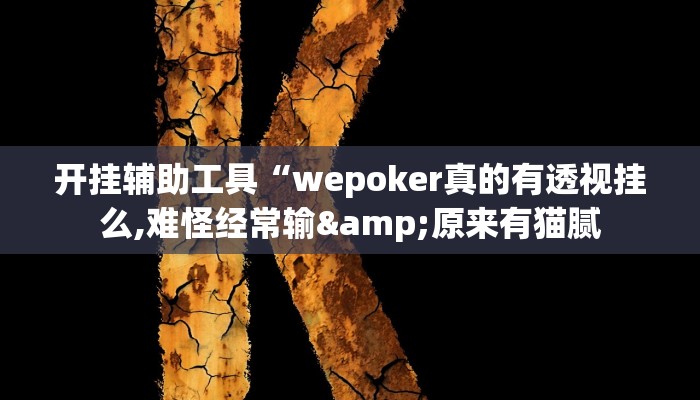 开挂辅助工具“wepoker真的有透视挂么,难怪经常输&原来有猫腻