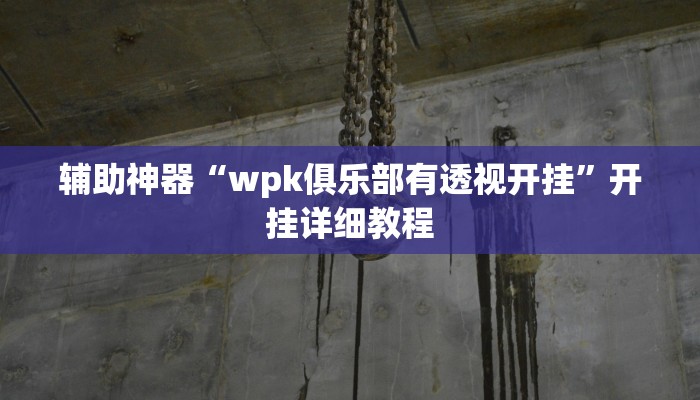 辅助神器“wpk俱乐部有透视开挂”开挂详细教程
