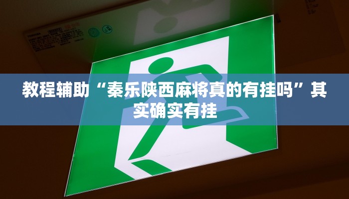 教程辅助“秦乐陕西麻将真的有挂吗”其实确实有挂