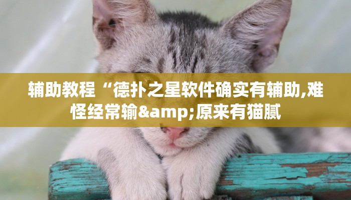 辅助教程“德扑之星软件确实有辅助,难怪经常输&原来有猫腻